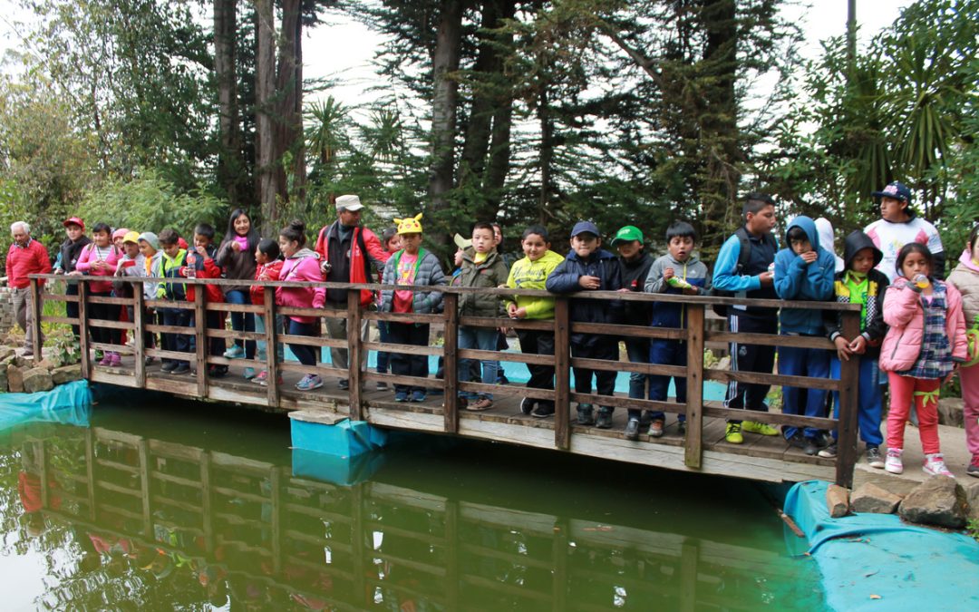 PASEO CIRCOS VACACIONALES 2017